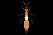 Worker Termite Insect, a Solid Icon by Buqancreative (Thumbnail 2 of 2)