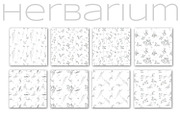 Herbarium. Pencil sketches, a Decorative Illustration by Love Watercolor Store (Thumbnail 7 of 8)