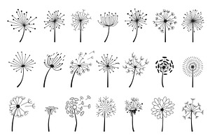 Hand Drawn Dandelions With Flying