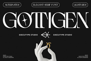 Gottigen Display, a Sans Serif Font by executypeStudio