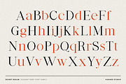 Secret Realm - Editorial Serif Font, a Serif Font by Kahade Studio (Thumbnail 14 of 16)