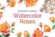 Watercolor roses, an Illustration by ognivo (Thumbnail 1 of 2)