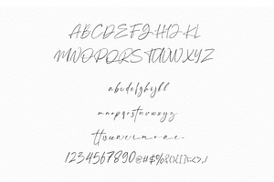 Anamortee // Modern Calligraphy Font