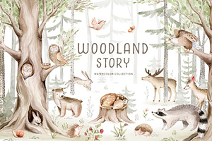 Woodland Story
