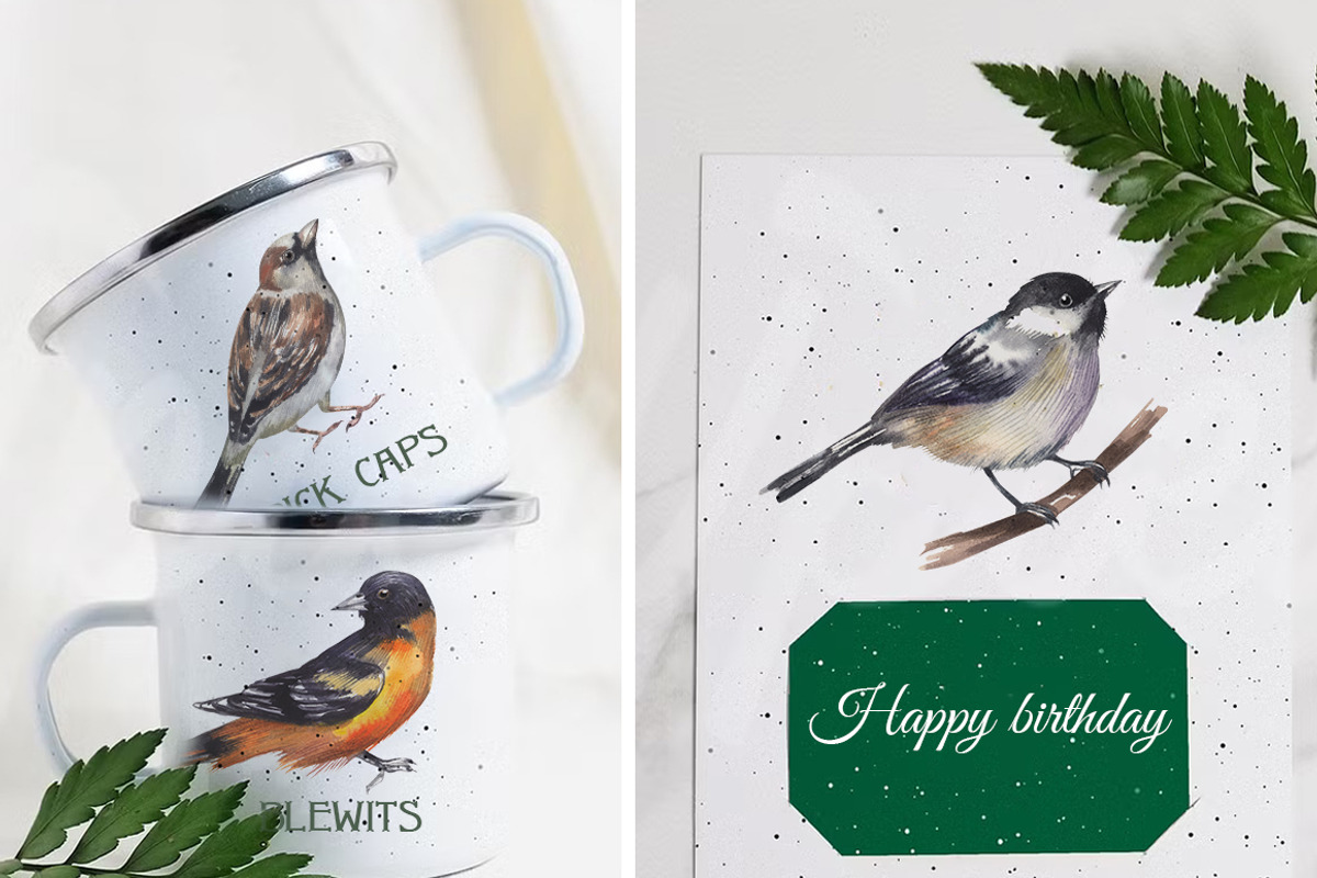 Backyard Birds of North America, an Animal Illustration by FITALARTSNEDIGI (Photo 7 of 8)