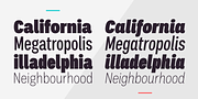 Palo, a Sans Serif Font by TypeUnion (Thumbnail 16 of 17)