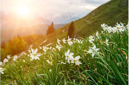 Beautiful mountain landscape with, a Nature Photo by Nature and travel