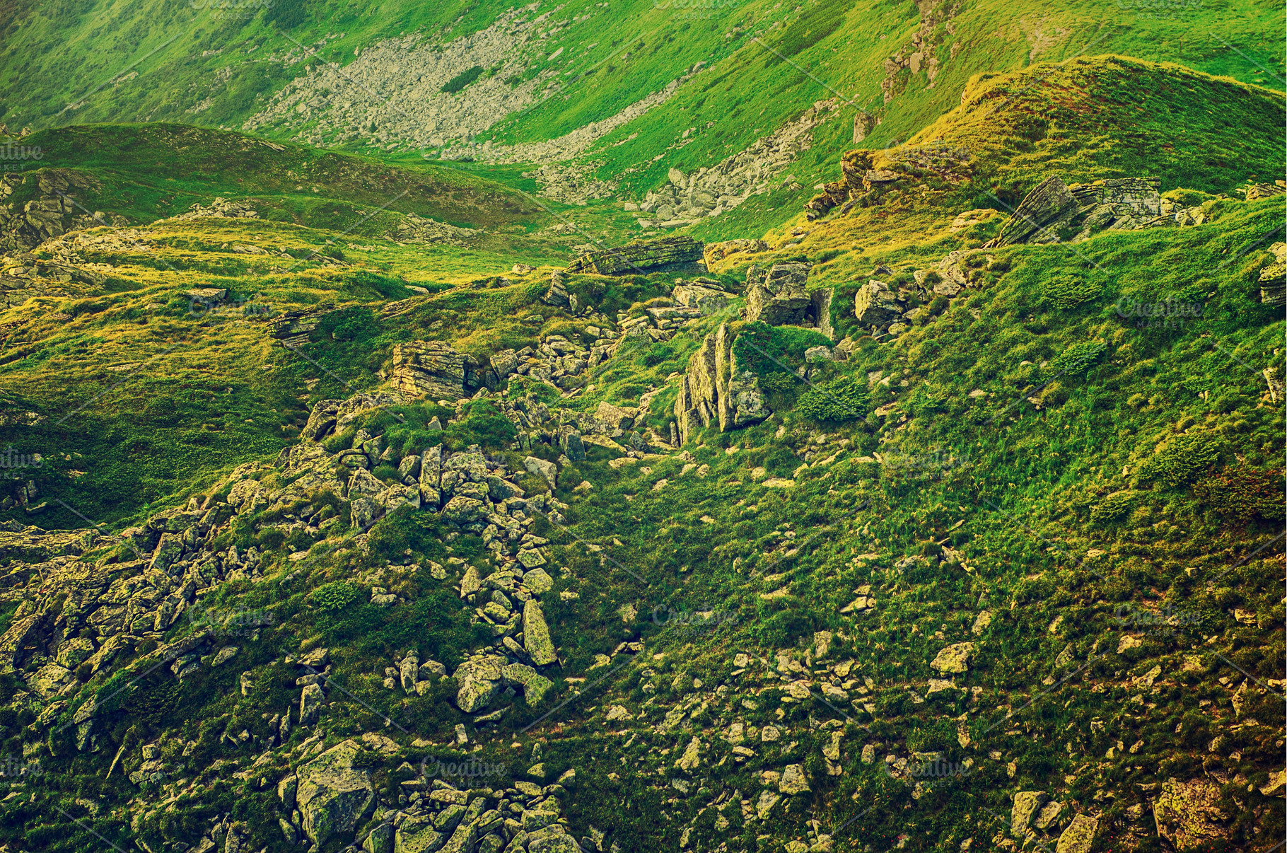 Carpathian mountain landscape, a Nature Photo by Nature and travel