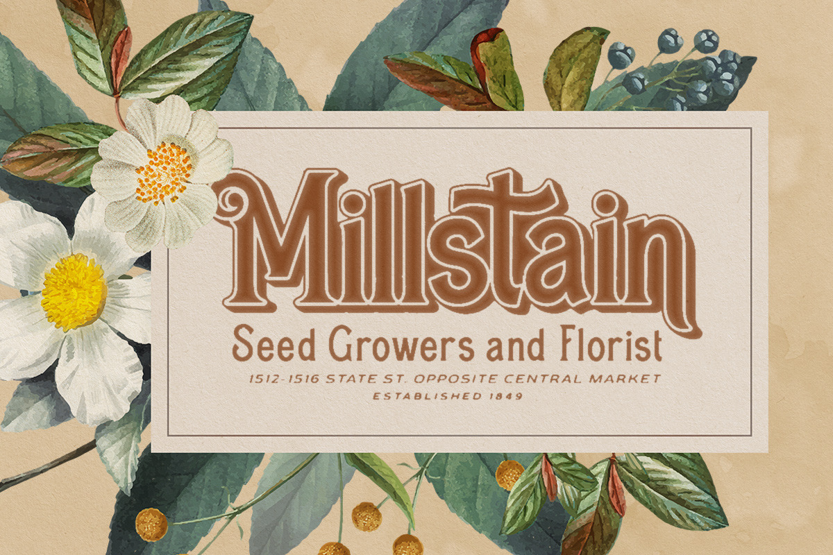 Rontage Display - Vintage Display, a Serif Font by Letterhend Studio (Photo 3 of 8)