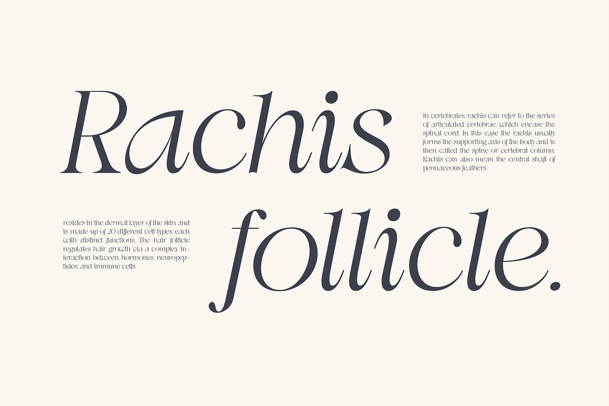 Swily Bright | Classy Font, a Serif Font by Jolicia Type (Photo 9 of 11)