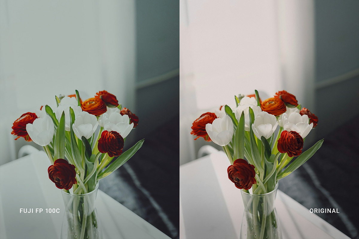 Fuji FP 100C, a Preset Add-On by colorituals (Photo 8 of 8)