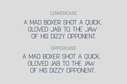 Darksport Font Family Variable, a Sans Serif Font by Sentavio (Thumbnail 9 of 14)