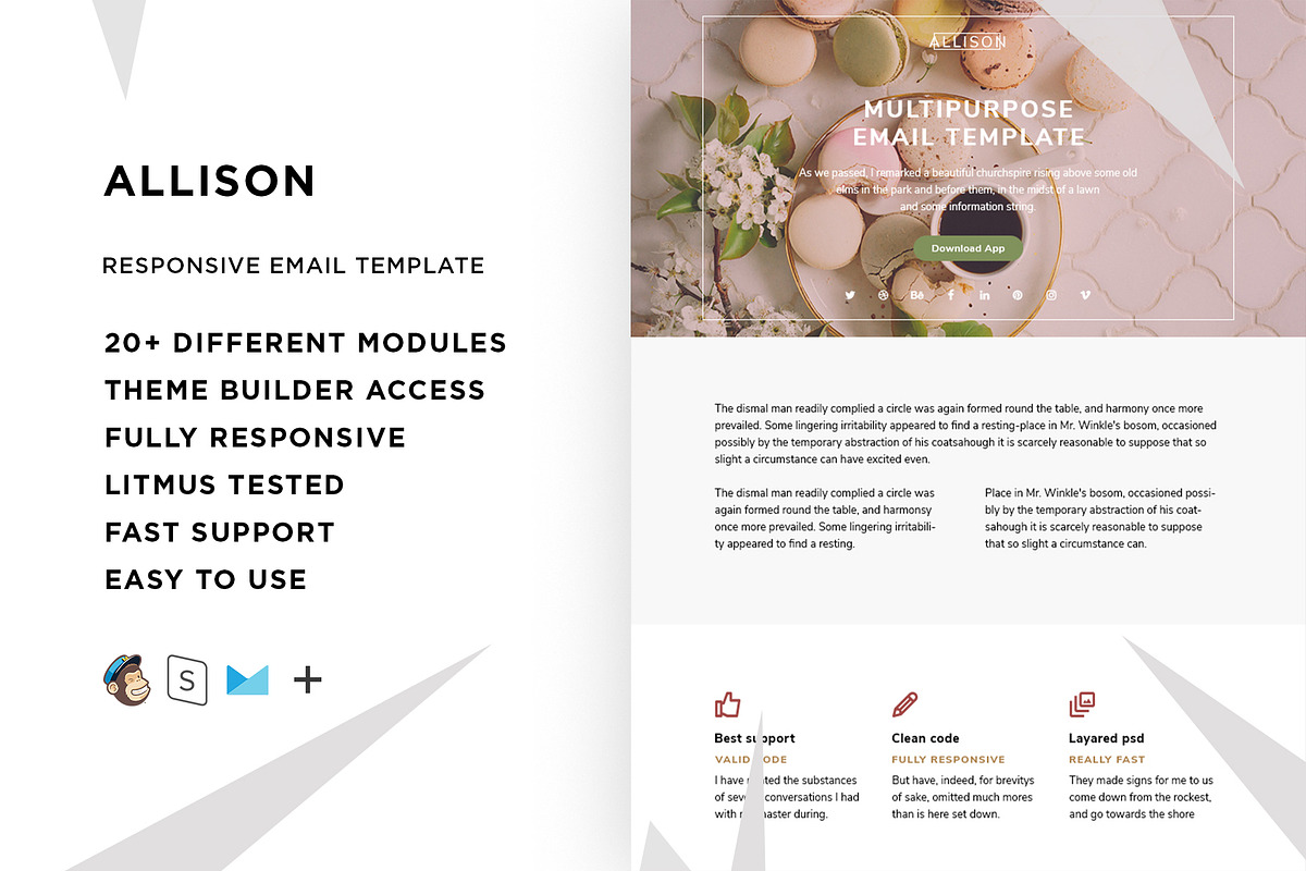 Allison – Responsive Email template, an Email Template by ThemesCode
