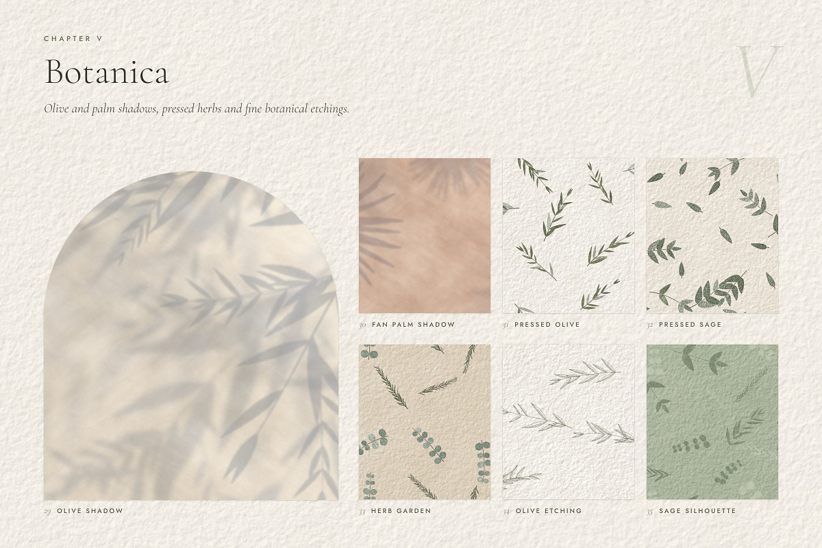 Sage & Stone Botanical Textures, a Texture Graphic by A Northern Type (Photo 7 of 9)