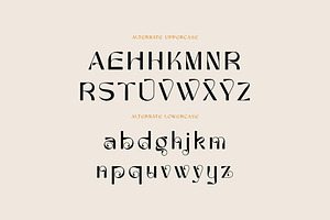 Trendy & Modern Fonts 5 - 10 Sets