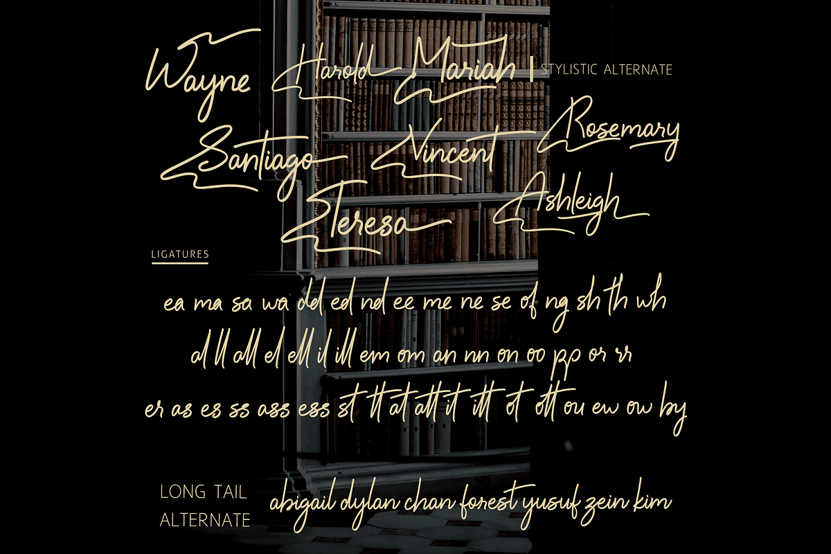 Boundless Wing Handwritten Font, a Handwritten Font by Letterhanna Studio (Photo 3 of 12)