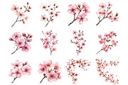 Cherry blossom branch Clipart, a Seasonal Illustration by Designking (Thumbnail 2 of 5)
