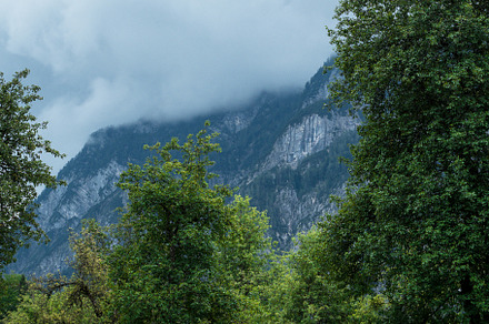 nature, alpine air. forest and mountains.clouds