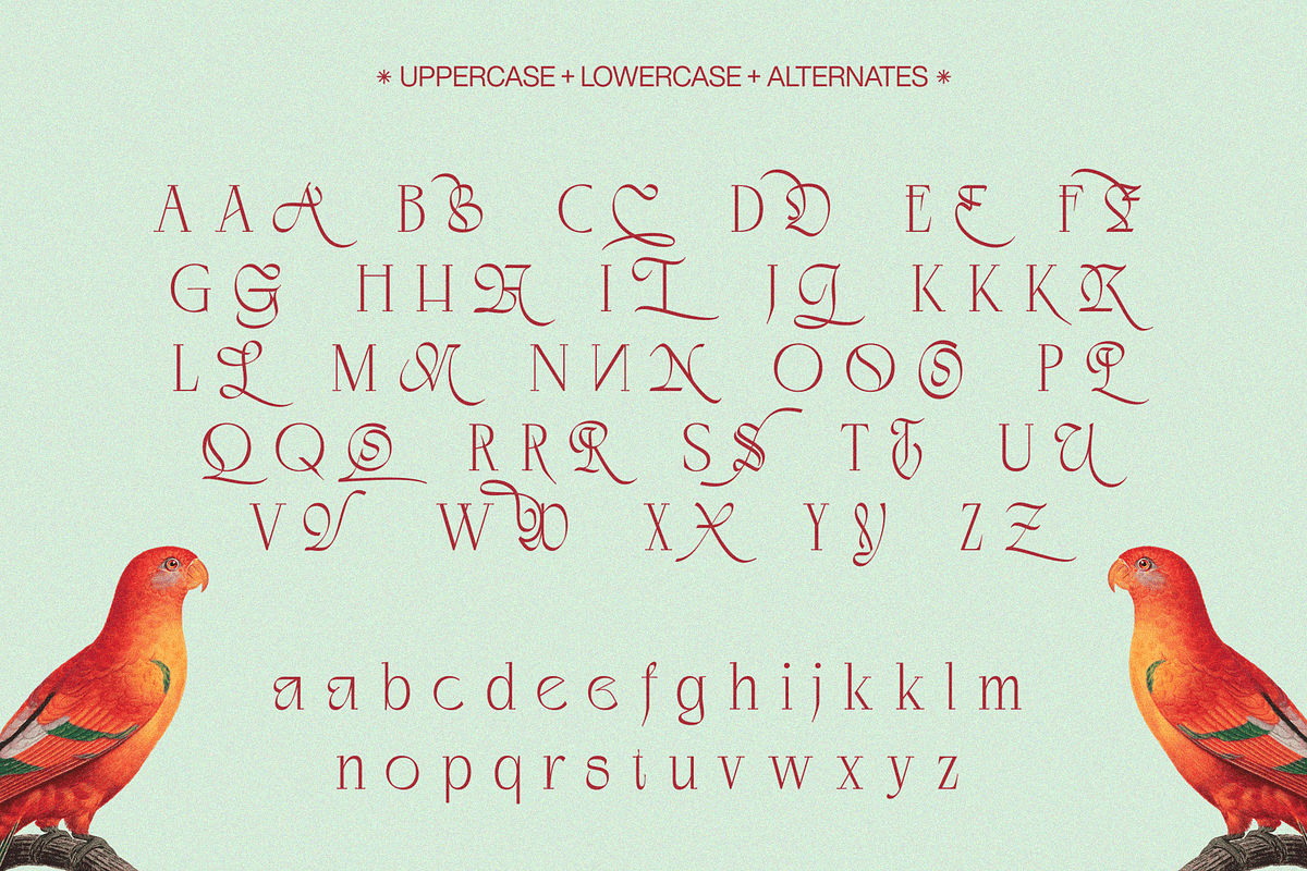 Negkomis — Elegant Ligature Serif, a Serif Font by Enxyclo Studio (Photo 20 of 26)