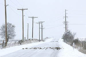 Winter road featuring nature, picture, and image