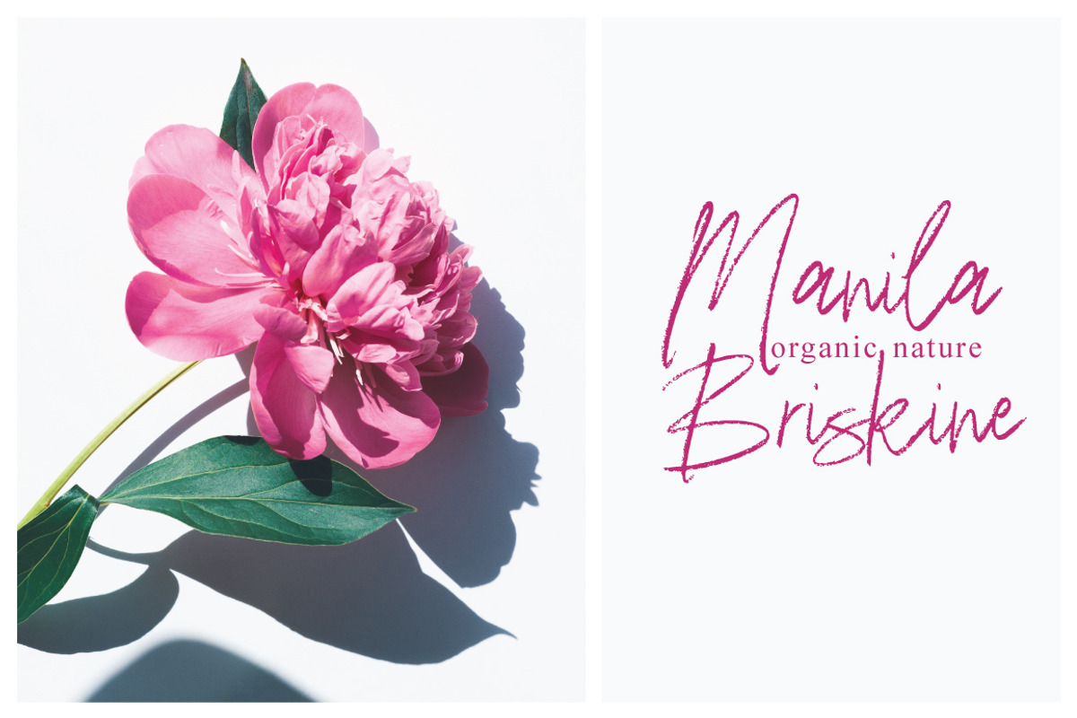 Hekian Signature Brush, a Handwritten Font by Eltypesstudio (Photo 7 of 12)