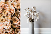 Instagram Styled Stock Square Photos, a Social Media Template by LaPorte Images (Thumbnail 4 of 19)