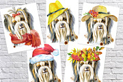 Watercolor fluffy yorkshire terrier, an Animal Illustration by Watercolor fantasy (Thumbnail 5 of 5)