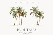 Palm Trees, a Decorative Illustration by PeDe Designs (Thumbnail 8 of 9)