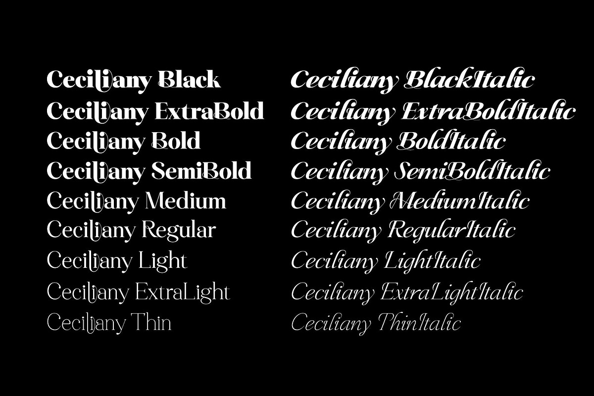 Ceciliany Serif Font Family, a Serif Font by Ryul Davidson (Photo 8 of 25)