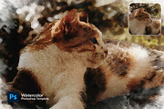 Watercolor Photo Template, a Preset Add-On by Andrew Skoch Design (Thumbnail 6 of 6)