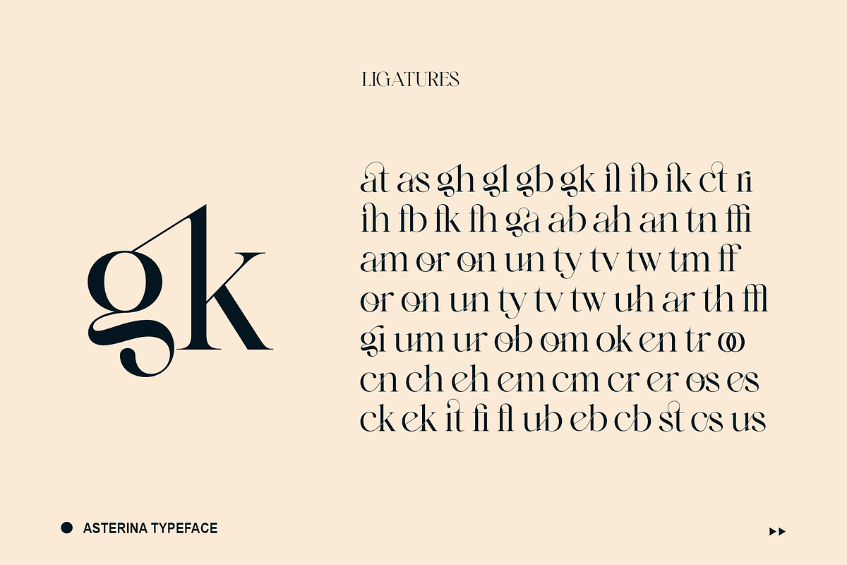 Elegant Ligature Serif Font, a Serif Font by Bekeen.co (Photo 9 of 10)