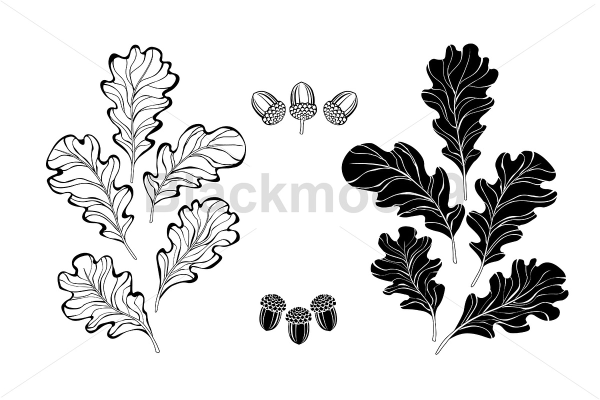 Monochrome oak leaves, a Decorative Illustration by blackmoon9