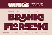 Vankis Font Family, a Sans Serif Font by zeenesia (Thumbnail 21 of 21)