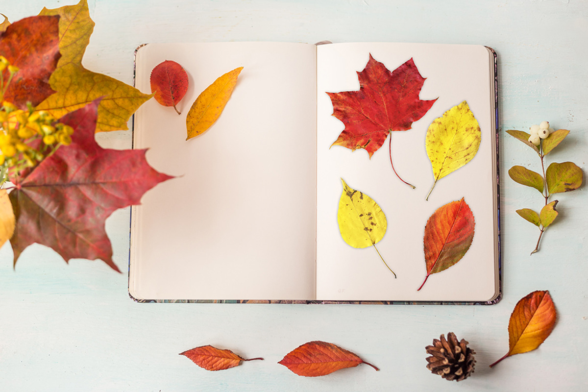 Rustic autumn mockup., a Mockup by Sentimental postman (Photo 2 of 2)