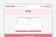 Salient Drive WordPress Theme, a WordPress Template by Your Theme Shop (Thumbnail 3 of 9)
