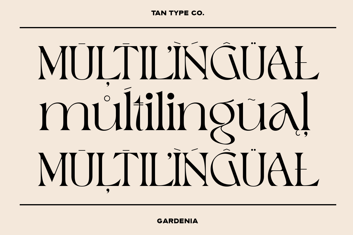 TAN - GARDENIA, a Font by TanType (Photo 11 of 21)