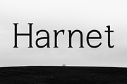 Harnet Serif, a Serif Font by MarioPanDeliver (Thumbnail 1 of 11)