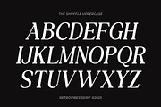 The Shuffle - Retro Serif Font, a Serif Font by Flawless And Co (Thumbnail 9 of 10)