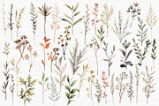 Tiny wildflowers set, a Decorative Illustration by marie dricot (Thumbnail 4 of 15)