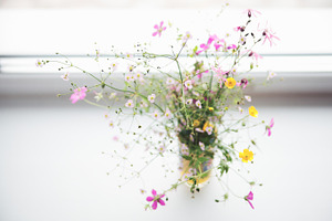 Bouquet of wild flowers., a Nature Photo by EkaterinaPlanina