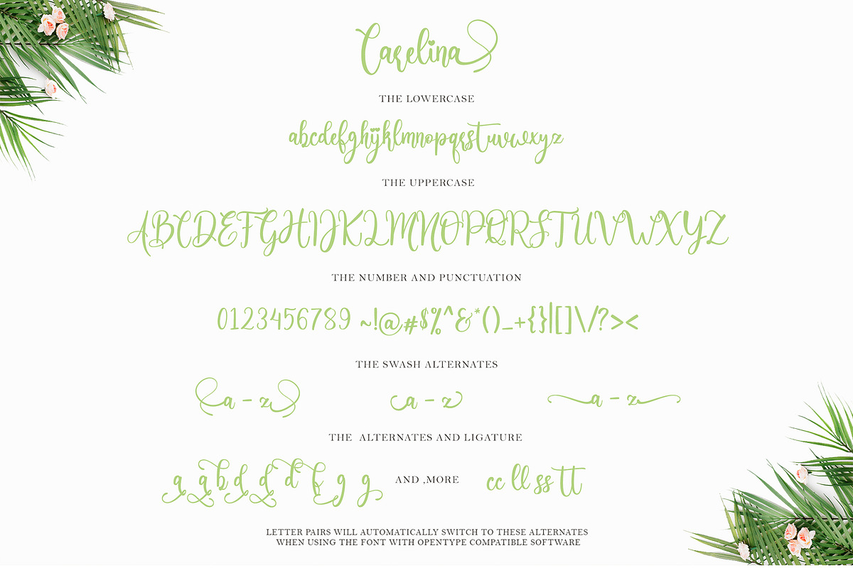 Carelina - Modern Calligraphy, a Script Font by erlosDESIGN (Photo 11 of 12)