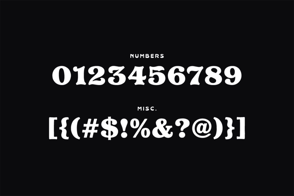 Quasar Typeface, a Serif Font by Tugcu Design Co. (Photo 3 of 3)