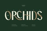 TBJ Orcherum Unique Ligatures Sans, a Font by Taboja Studio (Thumbnail 5 of 21)