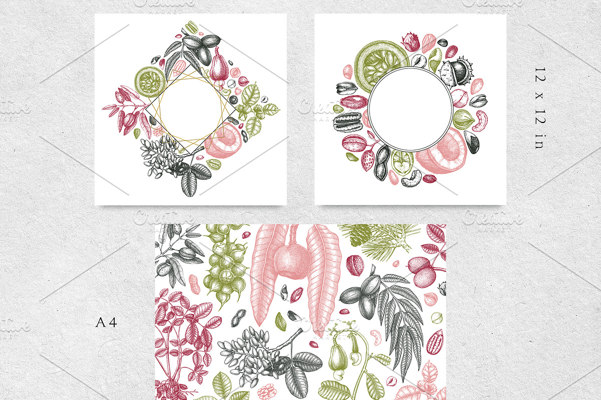 Nuts Hand-Drawn Vector Illustrations, a Food Illustration by Yevheniia (Photo 8 of 15)
