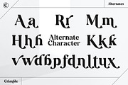 Cramble Modern Stylish Serif Font, a Serif Font by Letteralle Studios (Thumbnail 9 of 10)