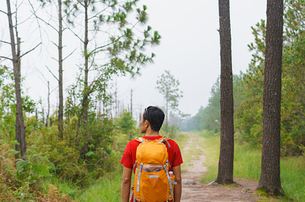 traveler man hiking enjoying in the mountains with backpack at P, a Nature Photo by Casanowe-studio