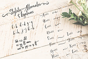 Bottomland • Ink Script, a Script Font by Evelyn Richards (Thumbnail 7 of 8)
