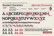 Magus - Serif font family, a Serif Font by Artistic & Unique (Thumbnail 4 of 15)