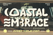 Segaro, a Sans Serif Font by Artisan Themes (Thumbnail 11 of 11)