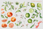 Citrus fruits and flower watercolor, a Decorative Illustration by Kate Lanbina (Thumbnail 2 of 20)